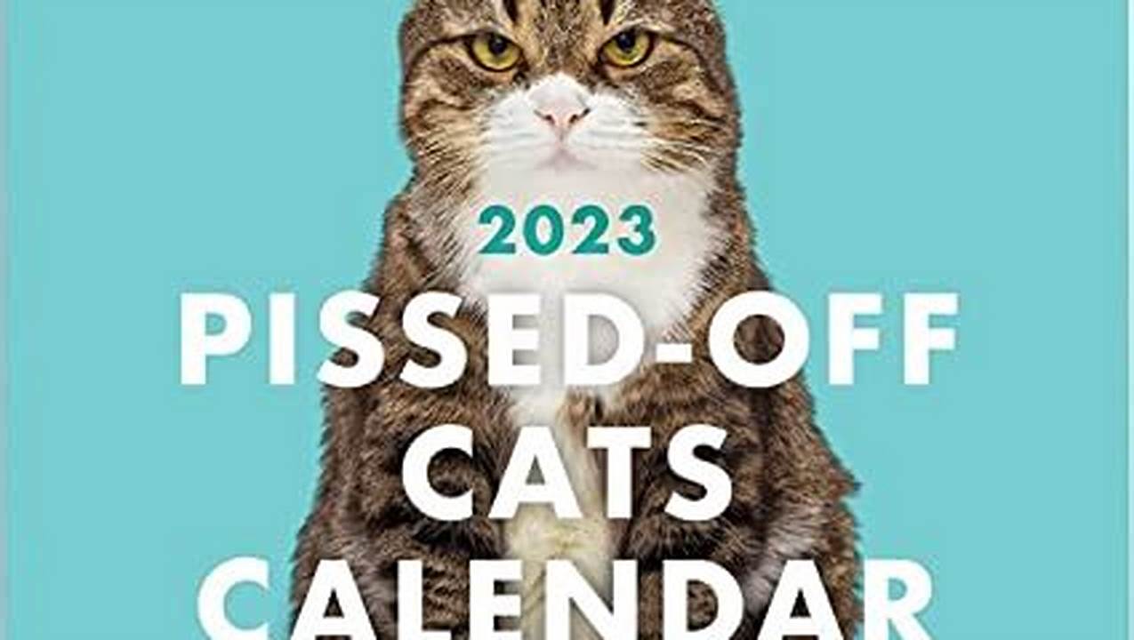 Pissed Off Cats 2024 Calendar., 2024