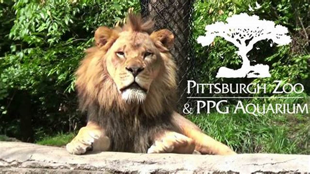 Pittsburgh Zoo Calendar
