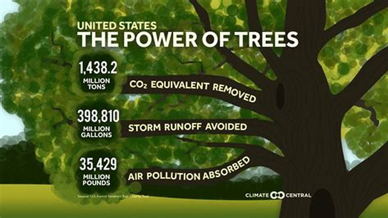 Plant Trees, Climate Change
