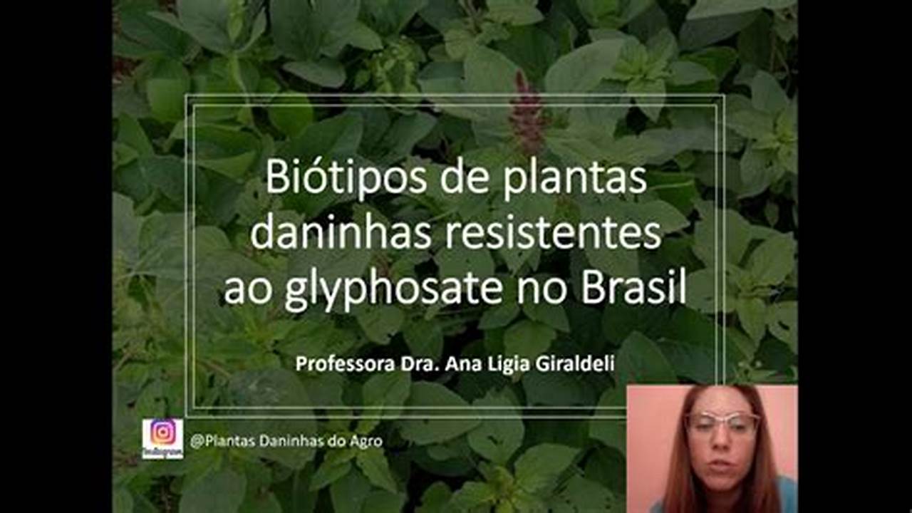 Plantas Daninhas Resistentes Ao Glifosato No Brasil