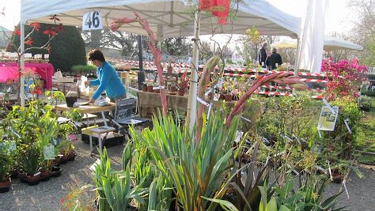 Plante Tropicale, Epicerie Orientale Saint Priest