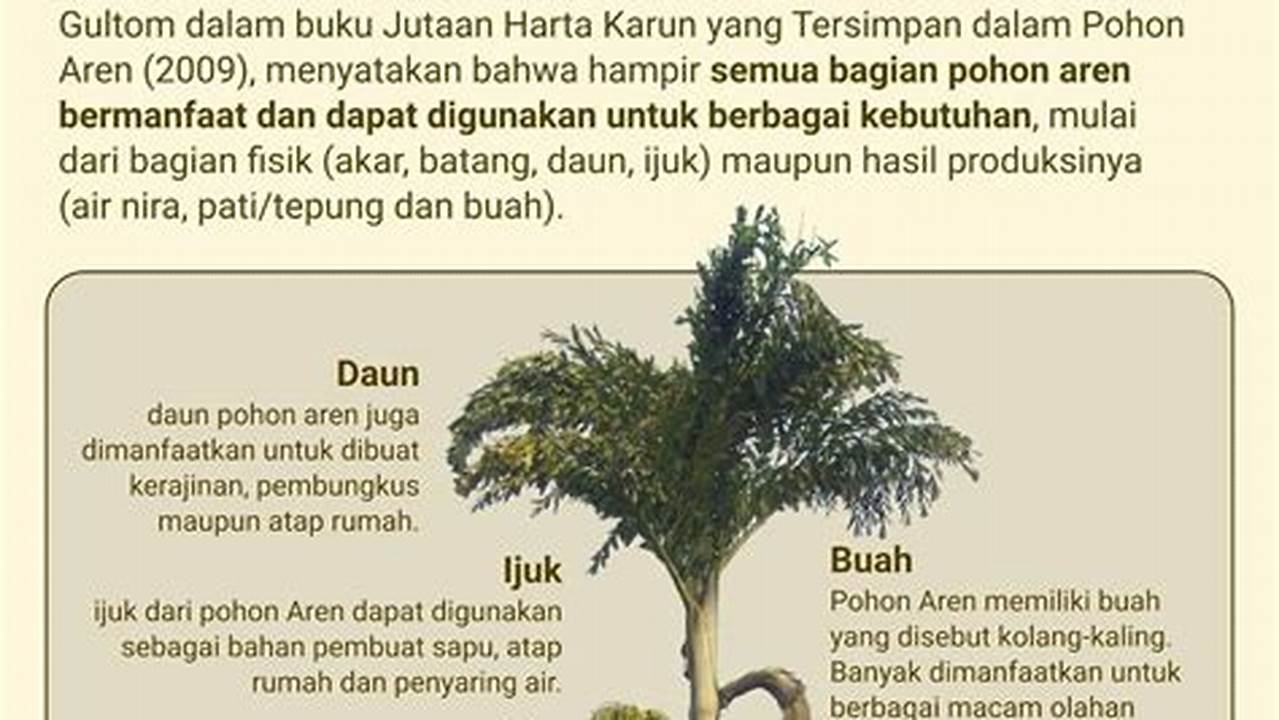 Pohon Aren Akan Tetap Tumbuh Dan Memberikan Nilai Ekonomis, Meskipun Nantinya Telah Tertutup Dengan Pohon Lain Yang Tumbuhnya Menyusul., Pohon