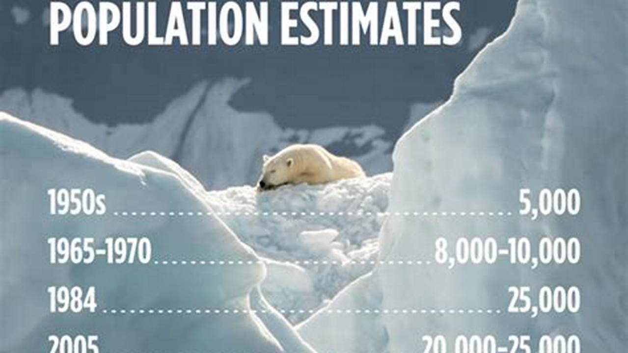 Polar Bear Population 2024