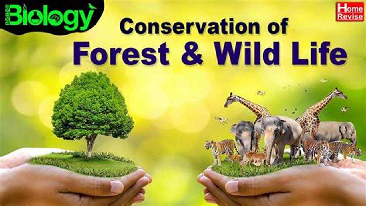 Policy, Wildlife Conservation