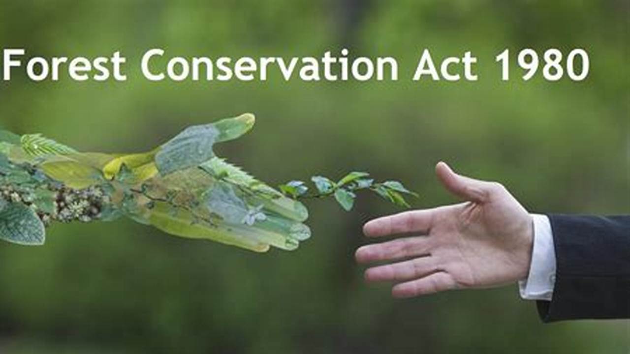 Policy And Legislation, Wildlife Conservation