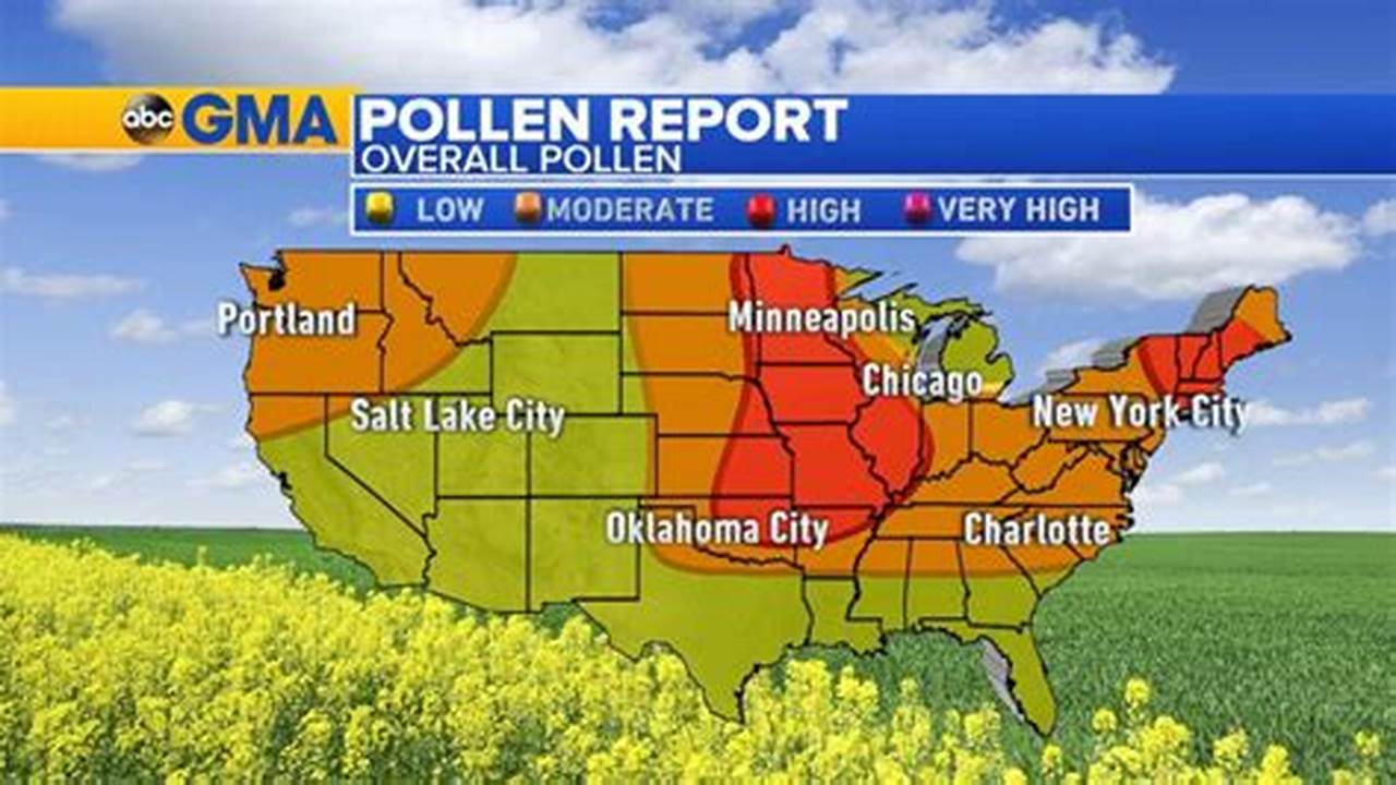 Pollen Count, News