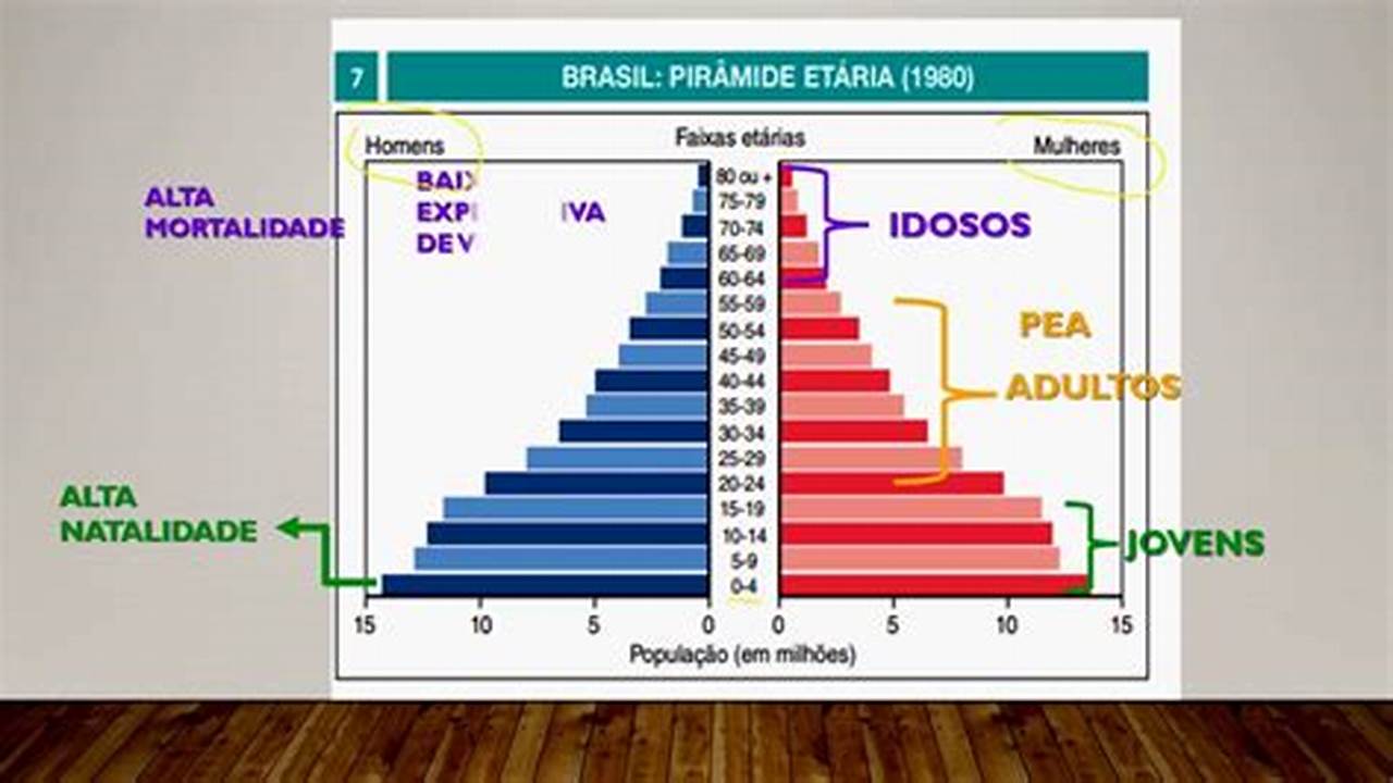Populacao Do Brasil Em 2024