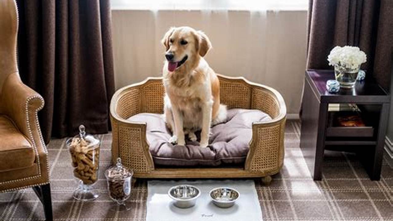 Popular, Pet Friendly Hotel