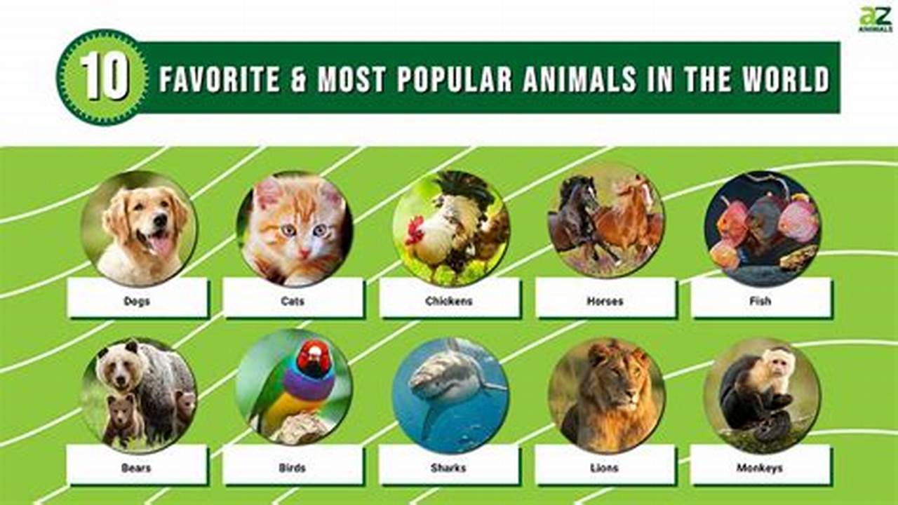 Popular Animals 2024