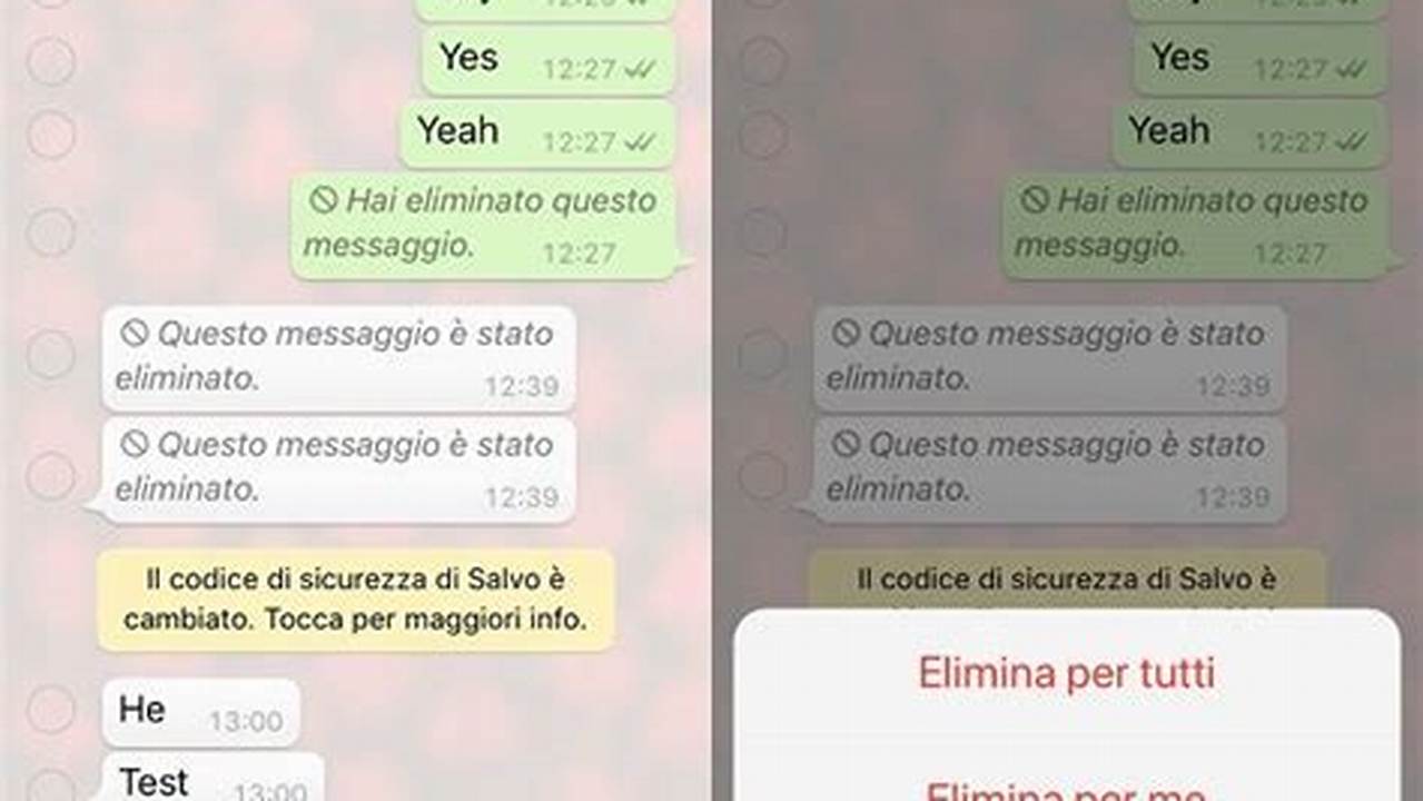 Posso Cancellare I Messaggi Copiati Su WhatsApp?, IT Messaggi