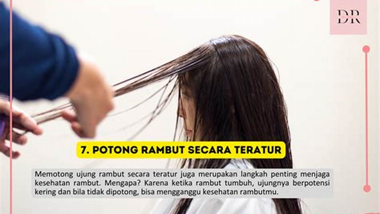 Potong Rambut Secara Teratur Untuk Menghilangkan Bagian Rambut Yang Kering Dan Rusak, Pengembang Rambut