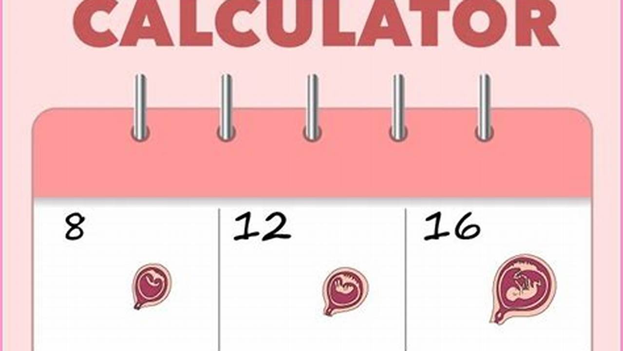 Pregnancy Calculator Week By Week Calendar