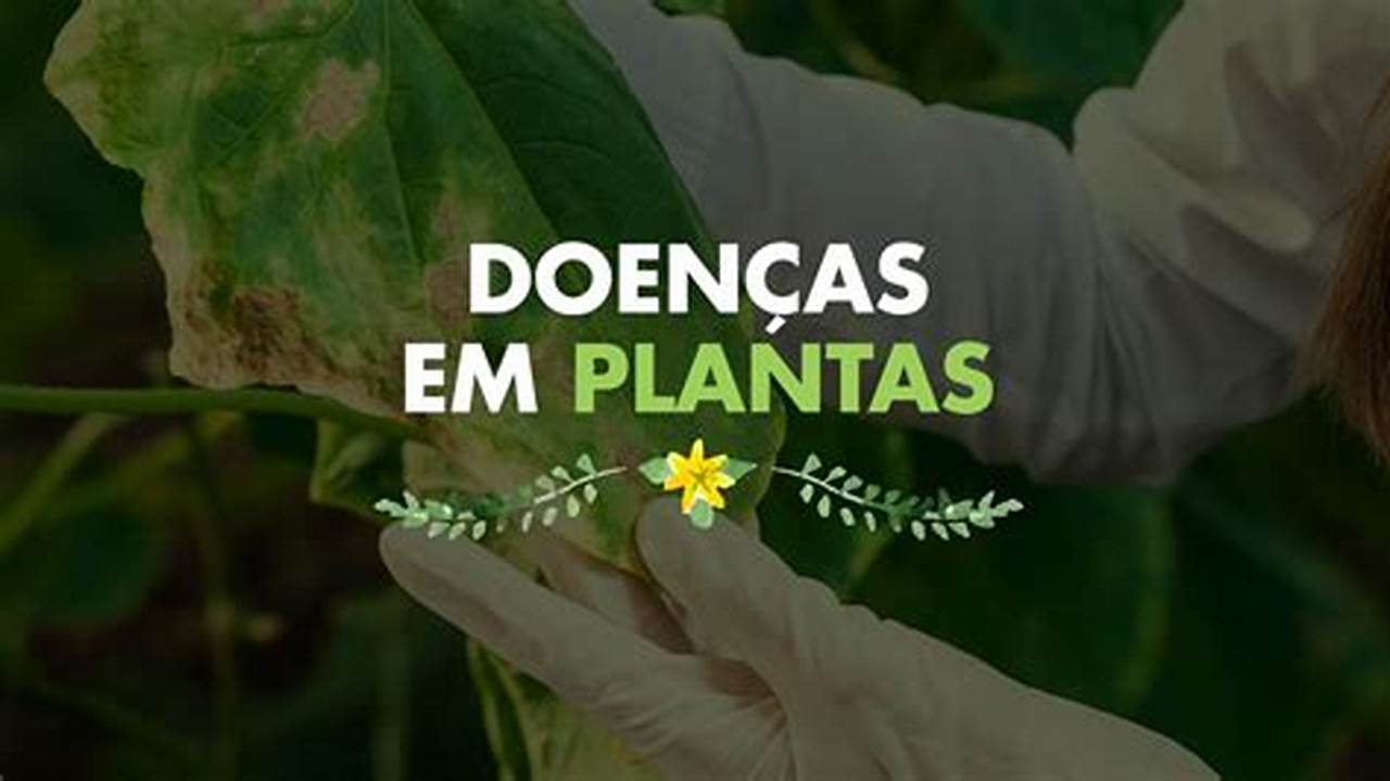 Prevenção De Doenças, Plantas