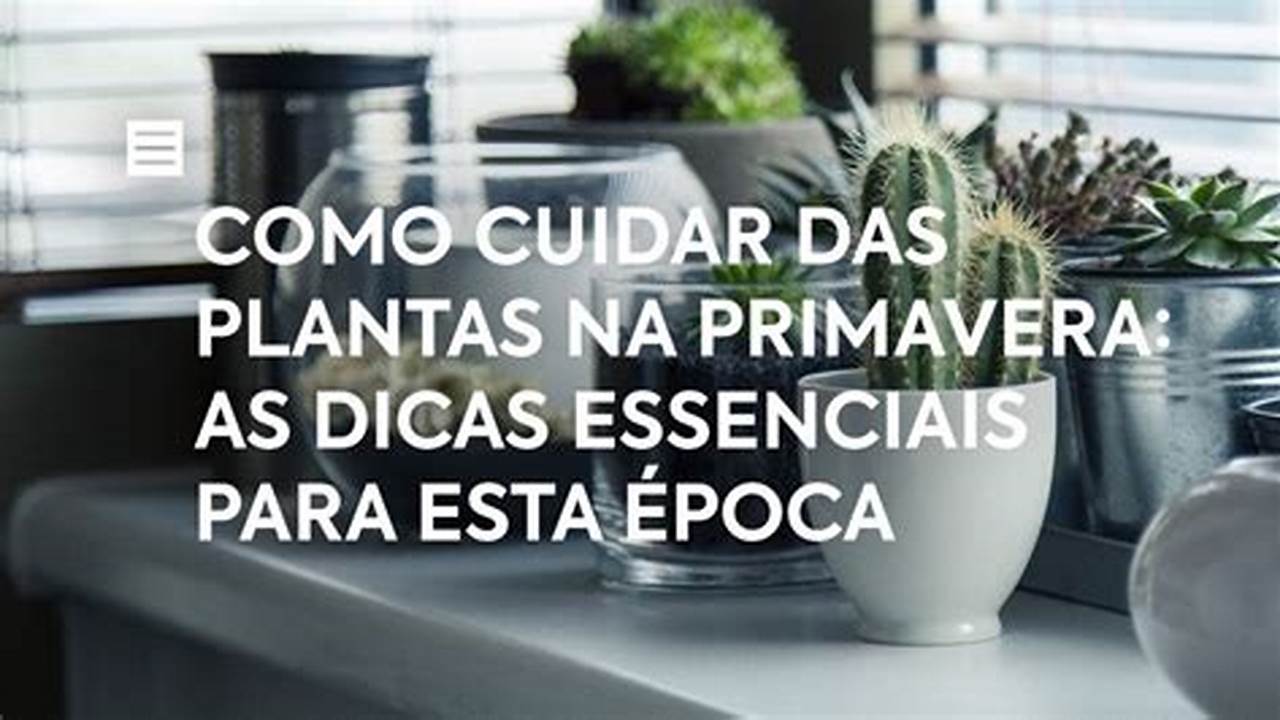 Primavera é época De Plantar., Plantas