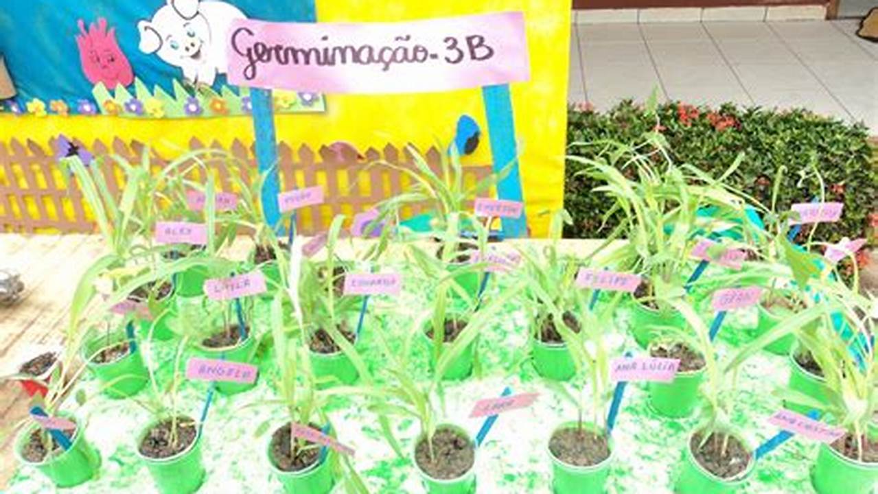 Projeto Sobre As Plantas Para Educação Infantil