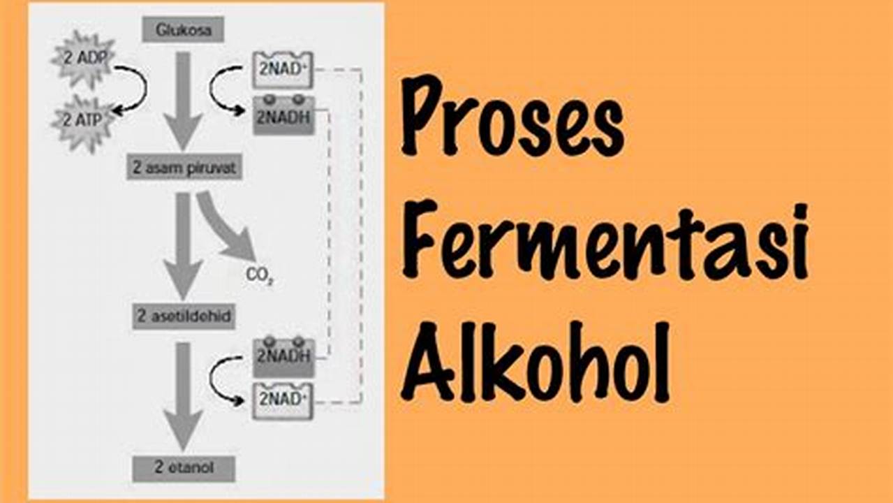 Proses Fermentasi Alami, Resep6-10k