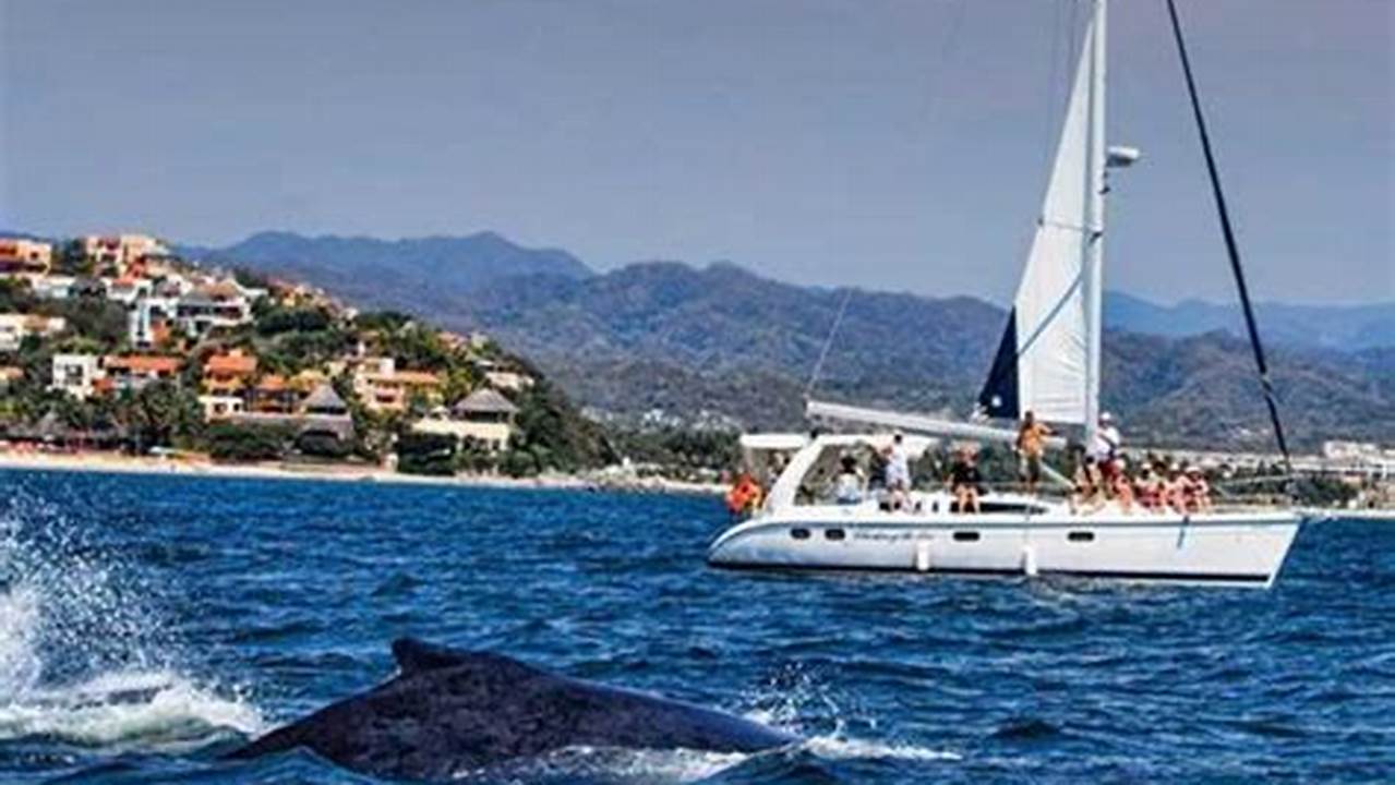 Puerto Vallarta Whale Watching Season 2024
