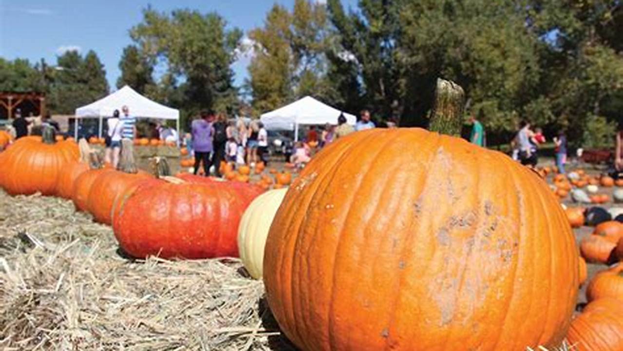 Pumpkin Festival Near Me 2024