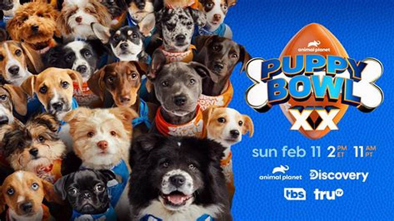 Puppy Bowl 2024 Watch