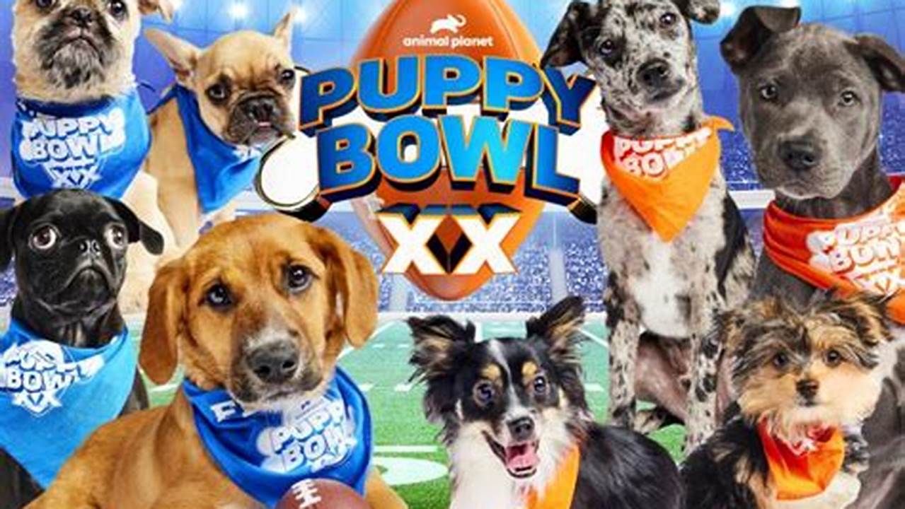 Puppy Bowl 2024 Winner
