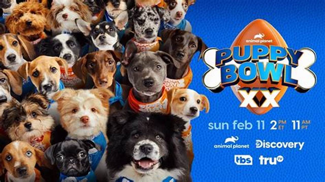 Puppy Bowl 2024 Youtube