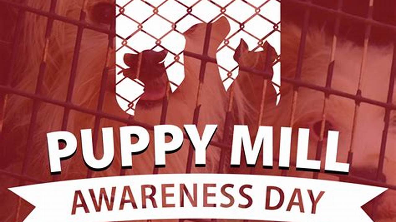 Puppy Mill Awareness Day 2024