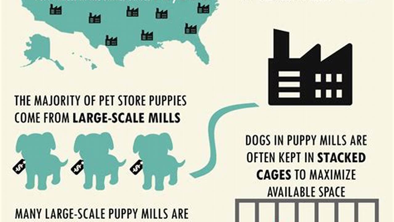 Puppy Mill Statistics 2024
