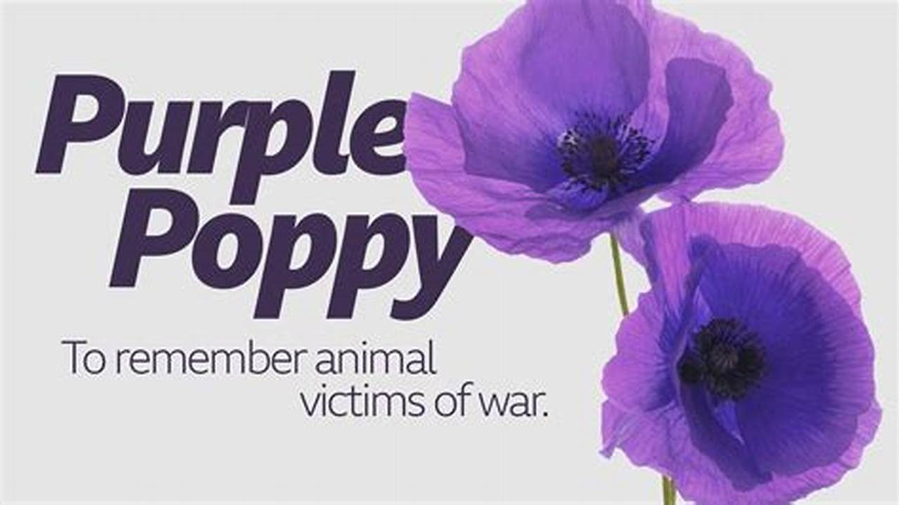 Purple Poppy Day Memorial Service 2024 | Facebook., 2024