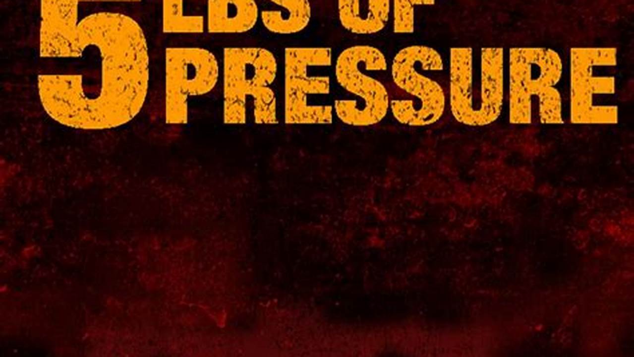 Reviewing 5lbs of Pressure: A Comprehensive Guide for 2024 and Beyond