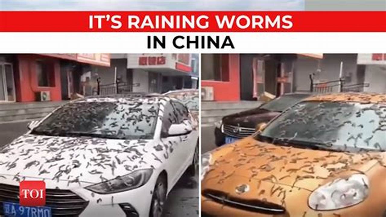 Raining Worms In China 2024