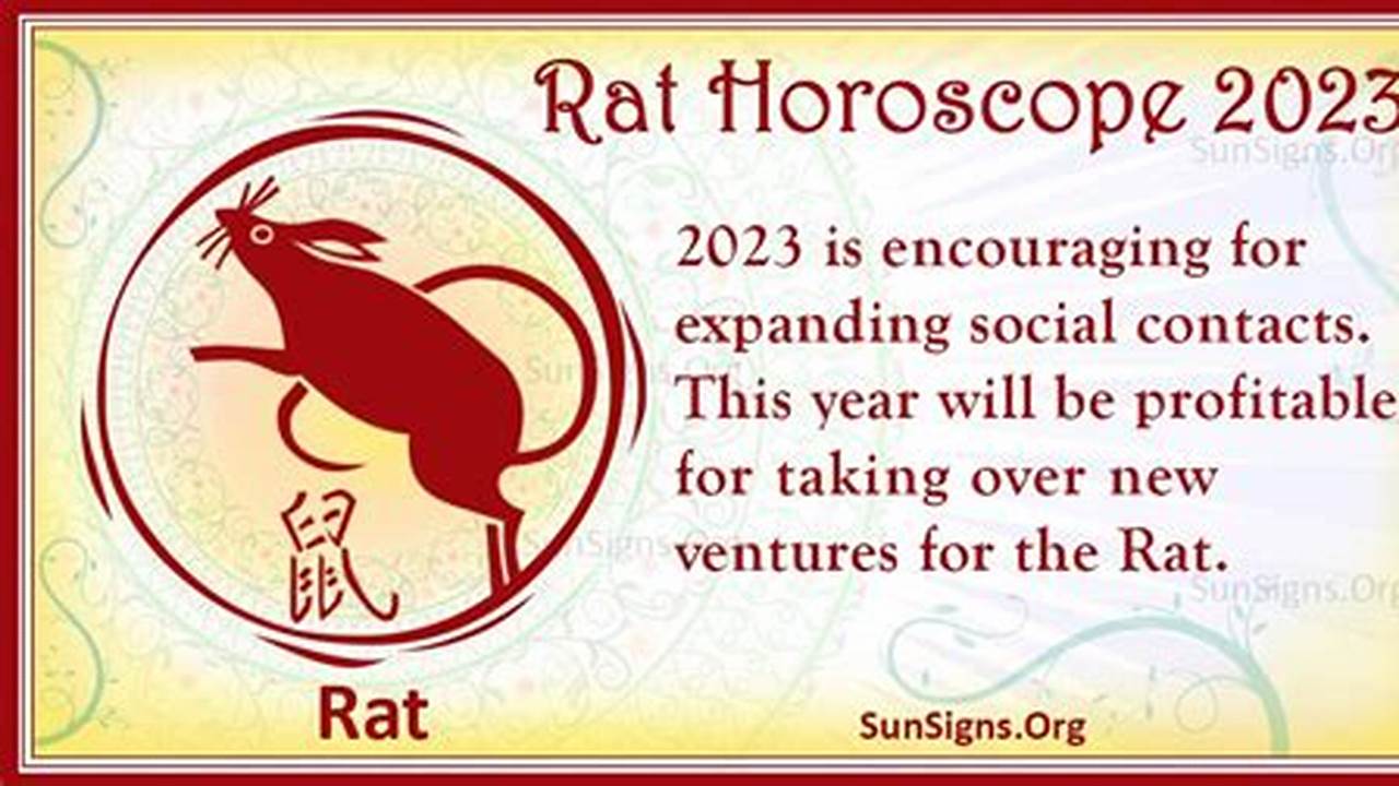 Rat In Year Of Rabbit 2024