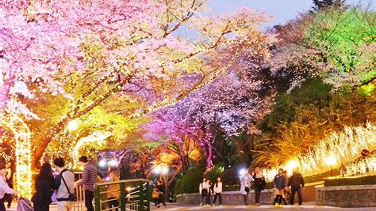 Read About Places To See Sakura And How To Get From Seoul And Busan., 2024