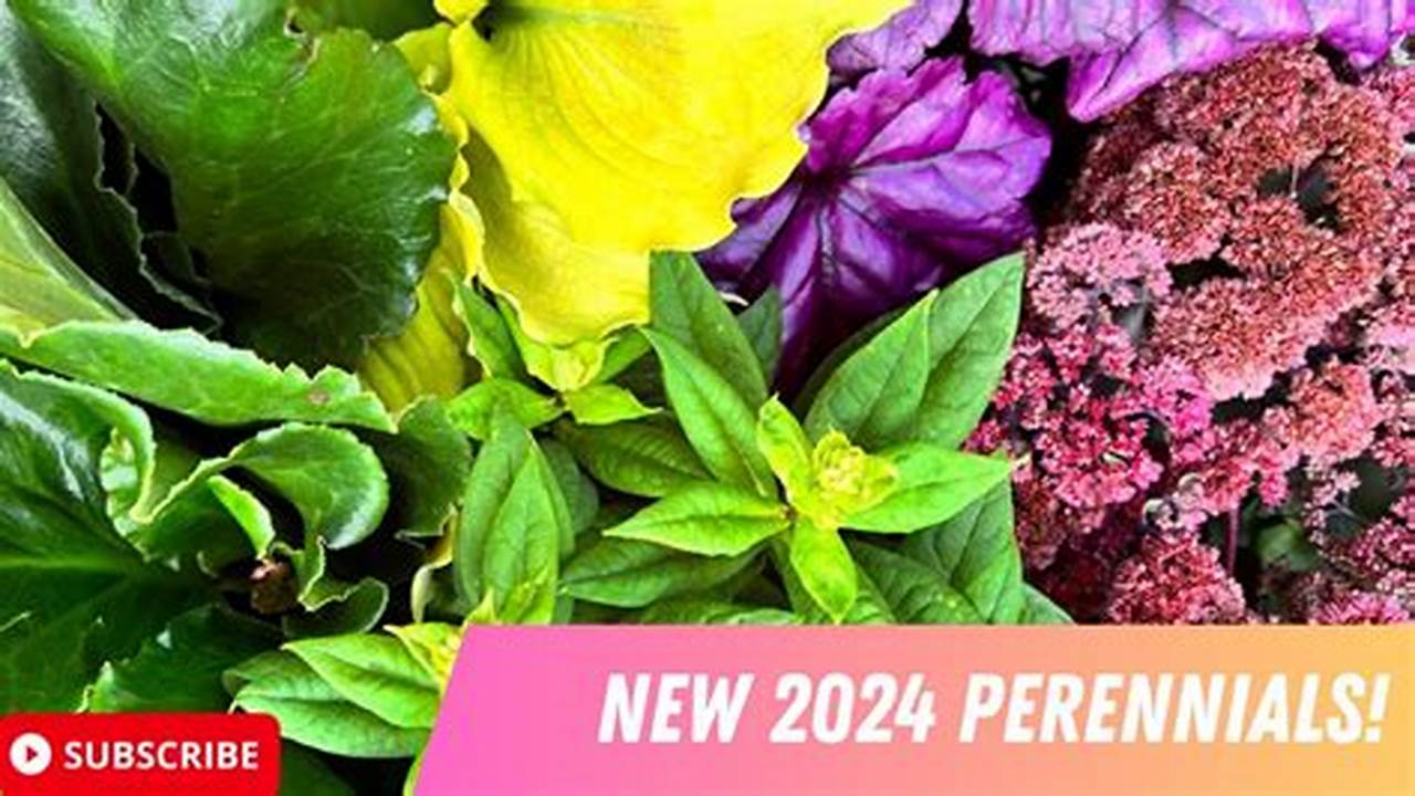 Ready To Treat Yourself To A Few New Plants For 2024?, 2024