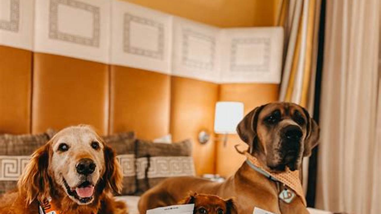 Real Estate Agents, Pet Friendly Hotel