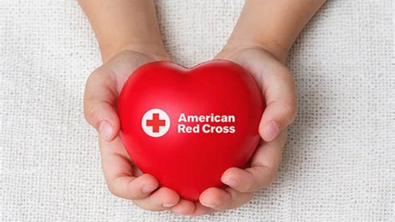 Red Cross Platelet Donation Rewards 2024