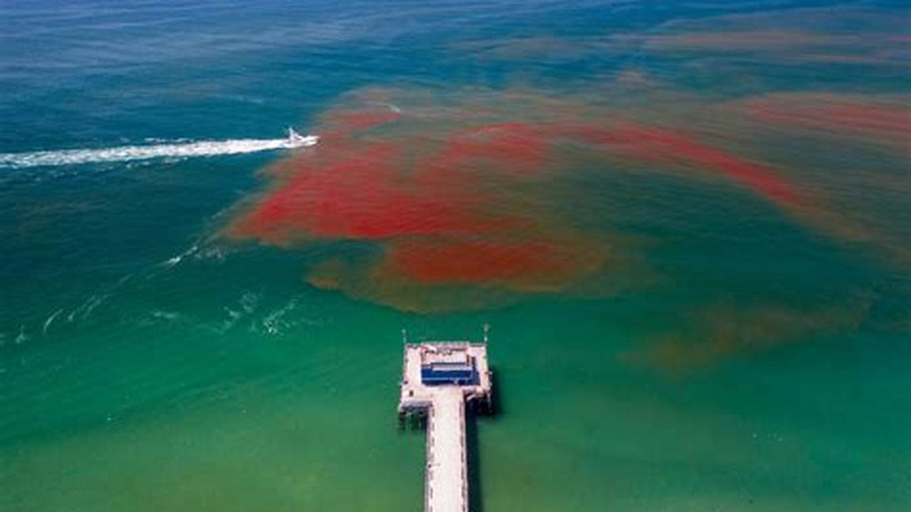 Red Tide Newport Beach 2024