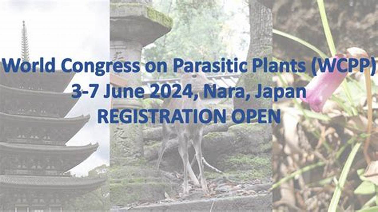 Registration For The 2024 Nara Spring Meeting Is Now Open And Will Close On April 15, 2024!, 2024