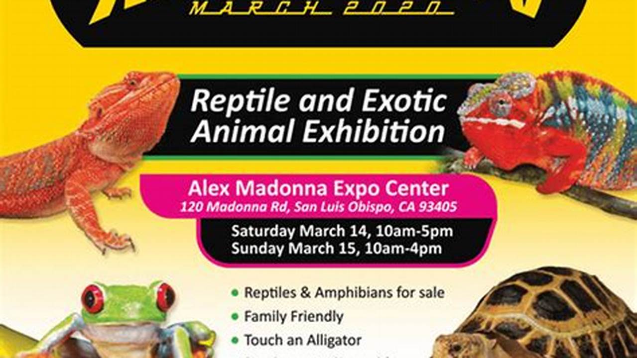 Reptile Expo San Antonio 2024., 2024