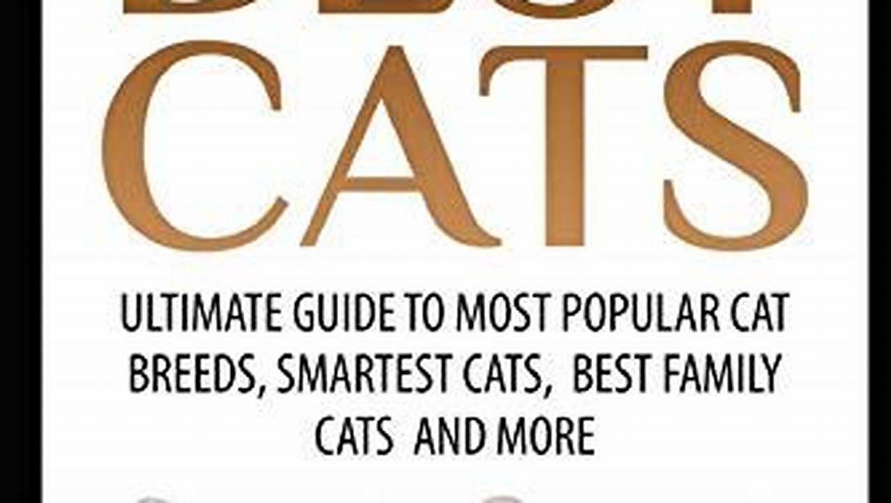 Reviews, Best Cats