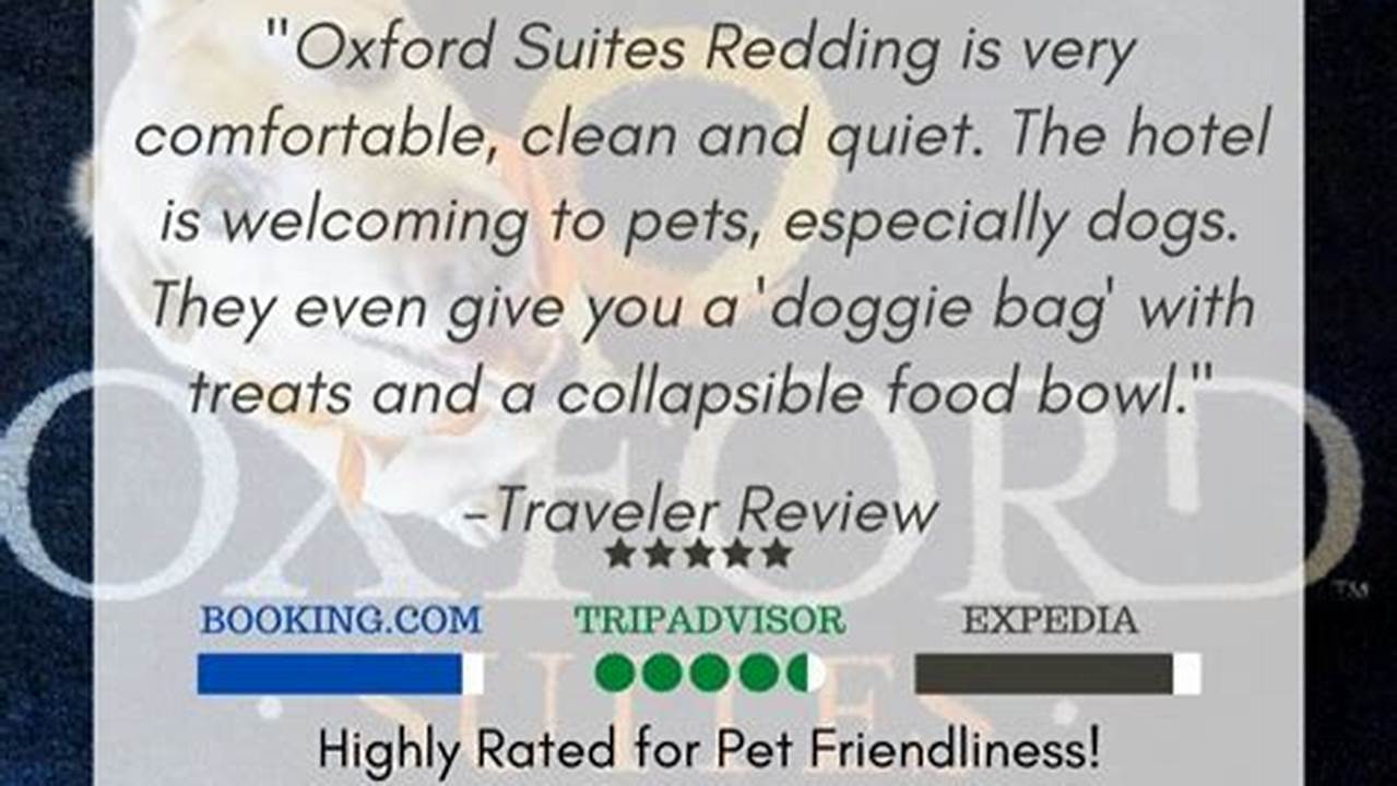 Reviews And Ratings, Pet Friendly Hotel