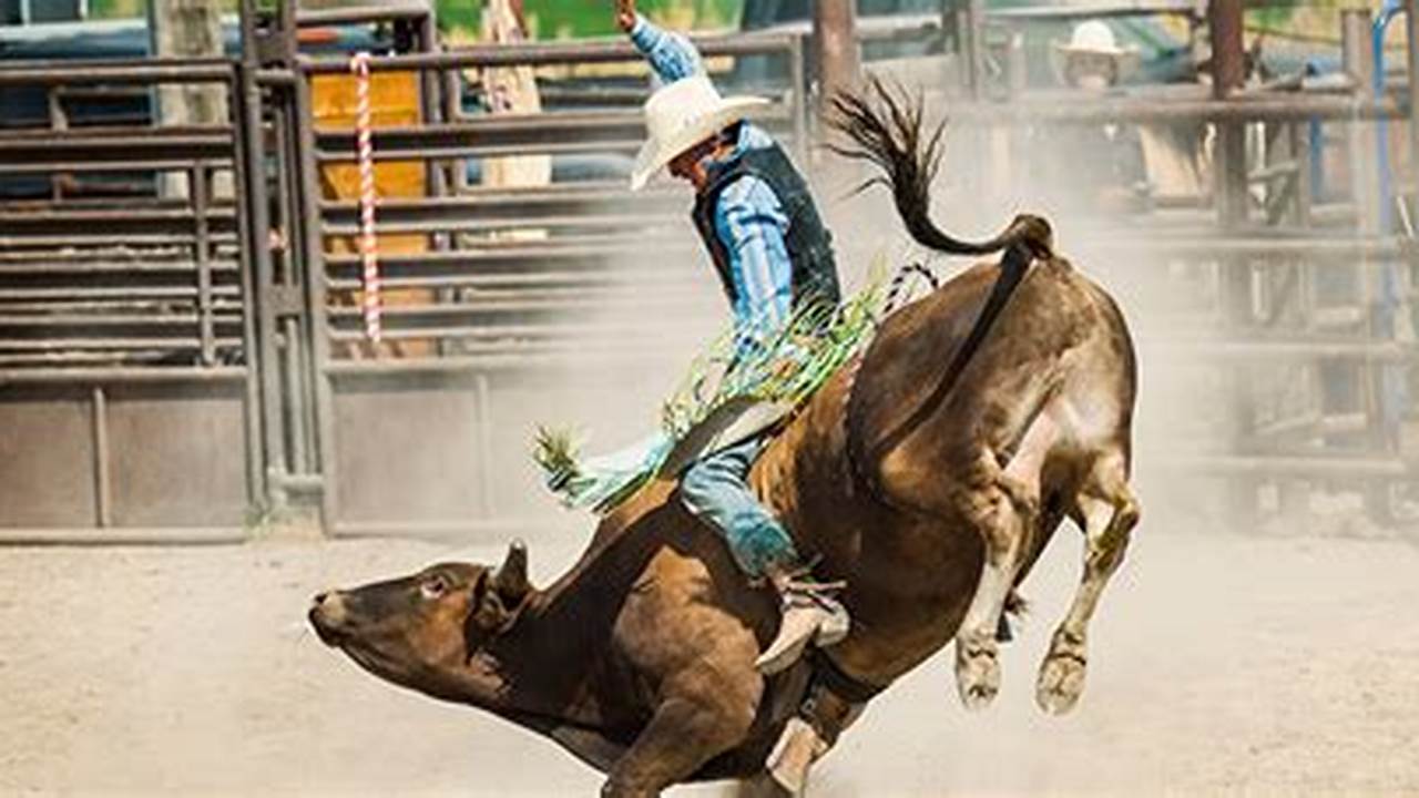 Rodeo Austin Results 2024