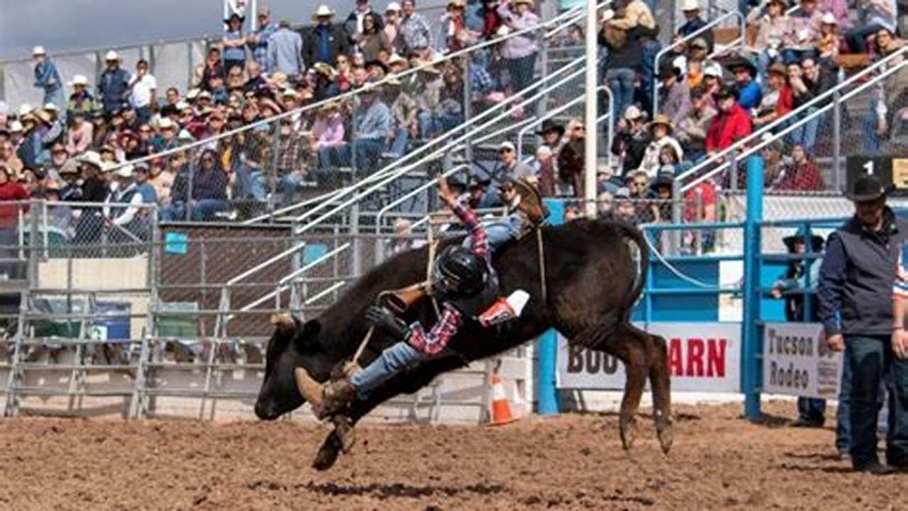 Rodeo Weekend Tucson 2024