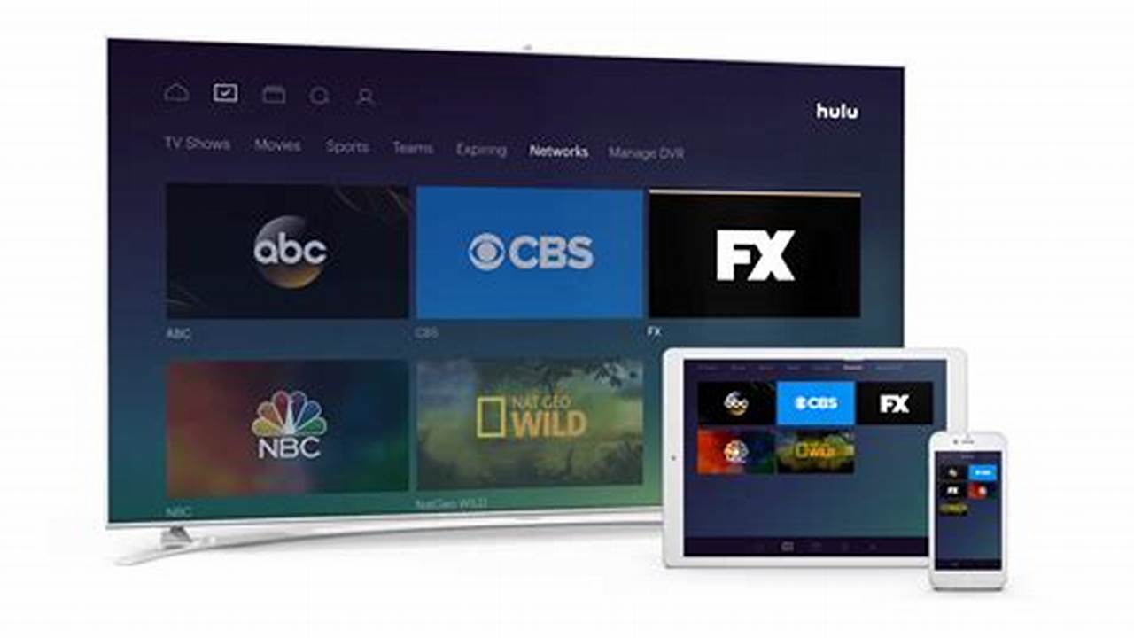 Roku Channel List 2024 Hulu + Live Tv