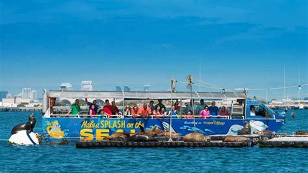 San Diego Sea Lion Tour