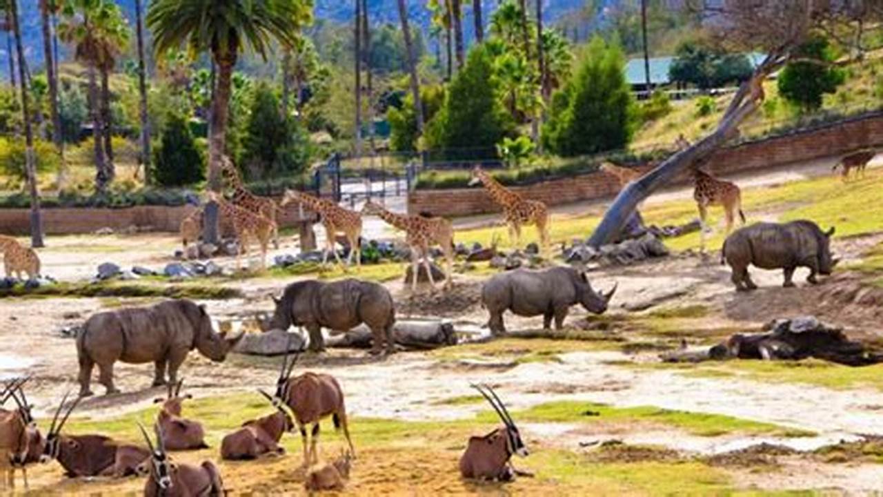San Diego Zoo Prices For Seniors 2024