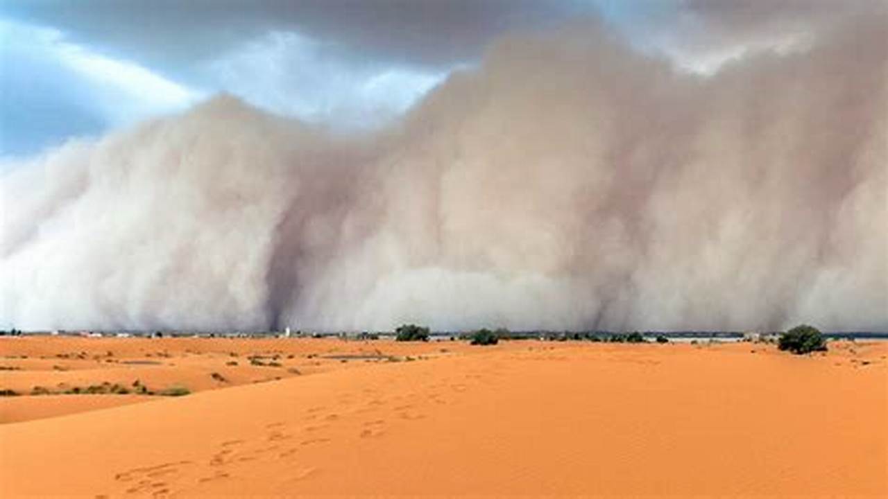 Sand Storm In Florida 2024