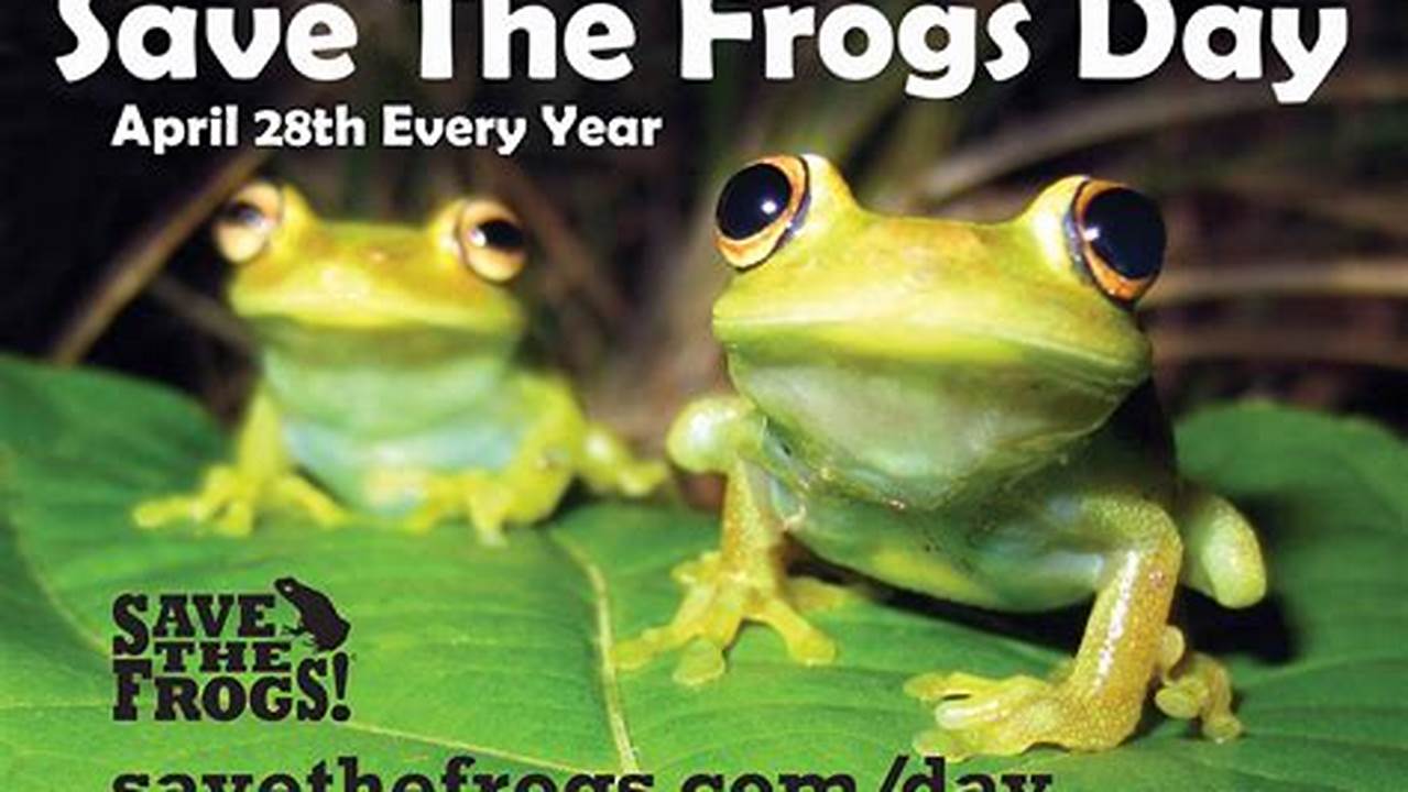 Save The Frogs Day 2024