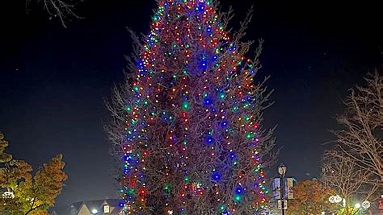 Sebastopol Tree Lighting 2024