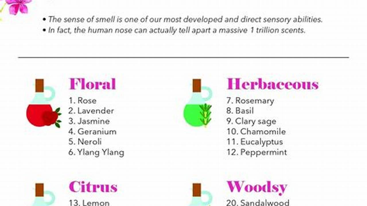 See Our List Of The Best Smelling., 2024