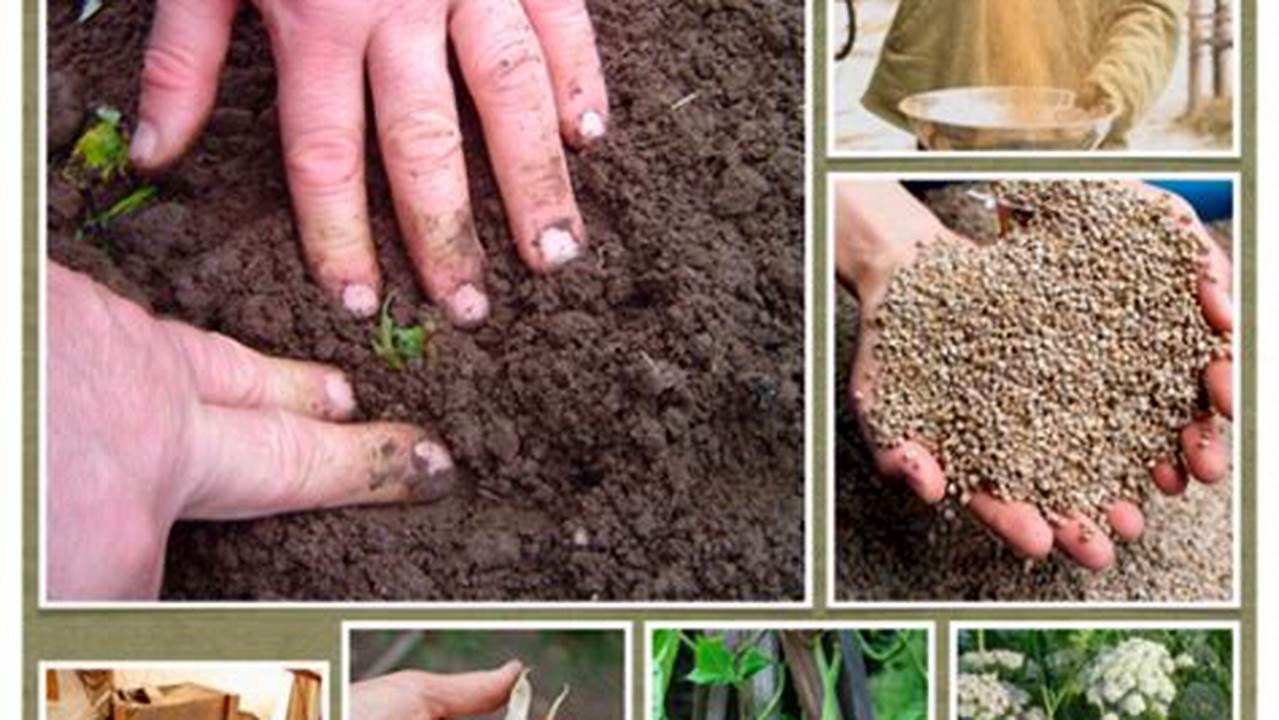 Seed Saving, Farming Practices